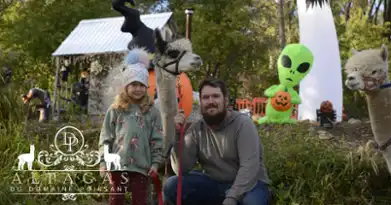 L'Halloween avec Alpagas du Domaine Poissant 