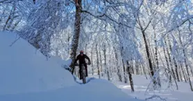 Parc des Sommets Parc des Sommets