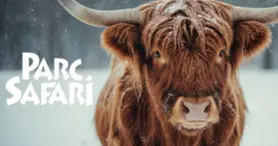 Parc Safari - Explorez les différentes activités Parc Safari - Explorez les différentes activités