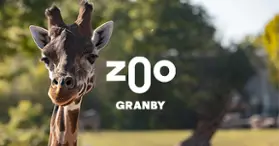 Zoo de Granby : le plus grand parc animalier et familial du Québec Zoo de Granby : le plus grand parc animalier et familial du Québec