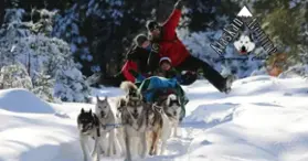 Alaskan aventure Tremblant Alaskan aventure Tremblant