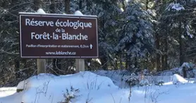 Réserve écologique de la Forêt-la-Blanche Réserve écologique de la Forêt-la-Blanche