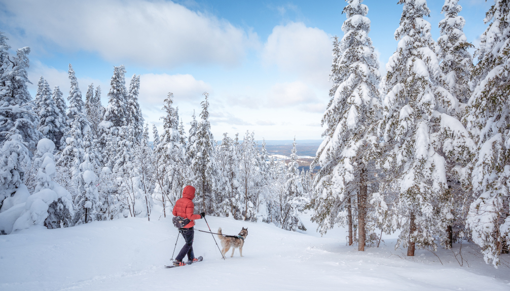 En trottinette des neiges avec son chien dans le parc régional des  Appalaches - Géo Plein Air