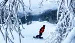 Centre Vorlage - Vélo de montagne, planche à neige, raquette et fatbike