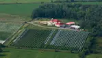 Vignoble Cortellino - Un coin d'Italie dans la Montérégie