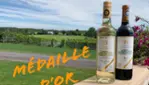 Vignoble Cortellino - Un coin d'Italie dans la Montérégie