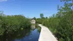 Réserve nationale de faune du lac-Saint-François - Les grands migrateurs