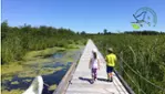 Réserve nationale de faune du lac-Saint-François - Les grands migrateurs