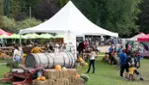 10e édition de Mirabel Fête l’érable du Québec - Parc Régional Bois de Belle Rivière