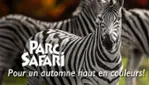 Parc Safari, Pas Bête !