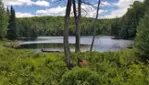 Réserve écologique de la Forêt-la-Blanche