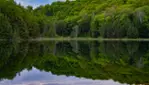 Réserve écologique de la Forêt-la-Blanche