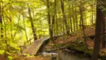 Réserve écologique de la Forêt-la-Blanche