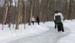 Parc Régional Bois de Belle Rivière