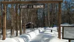 Réserve écologique de la Forêt-la-Blanche