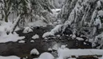 Réserve écologique de la Forêt-la-Blanche