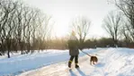 RécréoParc - glissade sur neige illuminée - Fat bike, raquette et sentiers pédestres