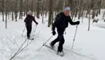 Sorties guidées – Initiation au Ski Hok au Parc du Massif du Sud 