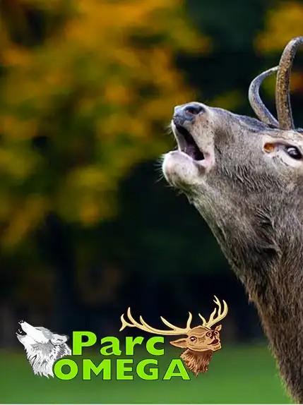 Parc Oméga