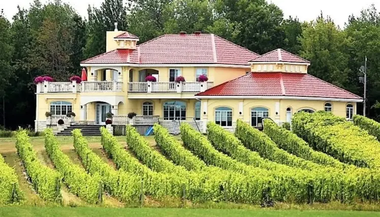 Vignoble Cortellino : un coin d'Italie en Montérégie