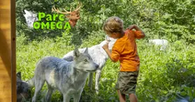 Parc Oméga : des hébergements en communion avec la nature