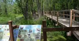 Centre d’interprétation du ruisseau McFee et le parc du sentier de la nature 