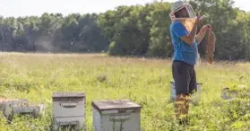 Ferme les Petites Écores