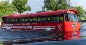 Amphibus lady Dive