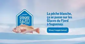 Glaces du Fjord