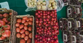 Marché public Solar Uniquartier