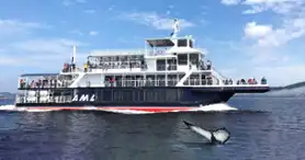 Croisière AML - le plus beau site d’observation de baleines au monde! 