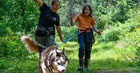 Alaskan aventure Tremblant