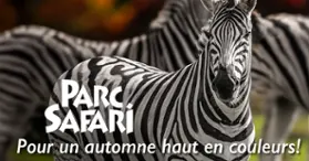 Parc Safari, Pas Bête !