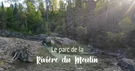 Corporation du Parc de la Rivière-du-Moulin